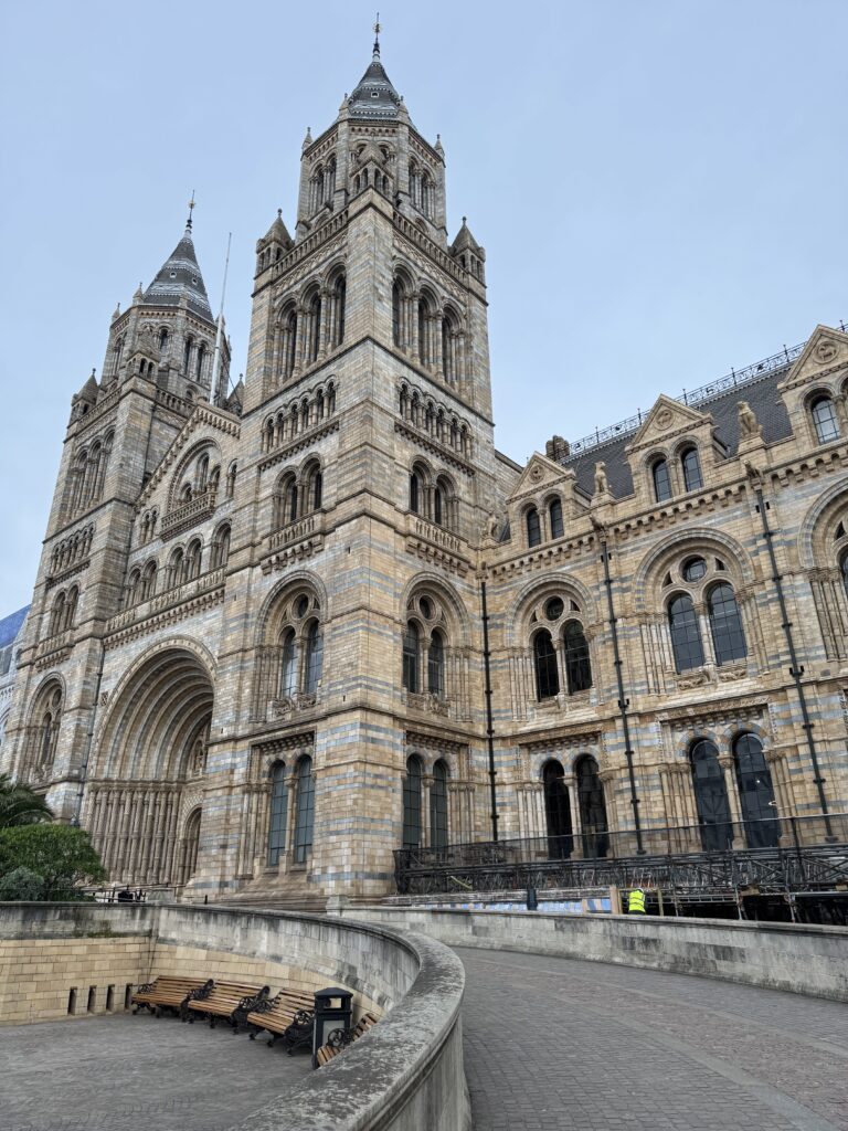 6DA2386E-6C06-4793-B4E3-7EB8B7CABFBB